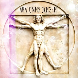 Логотип @lifeanatomy - Анатомия жизни