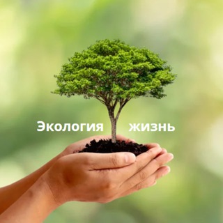 Логотип @lifeecology - Экология и жизнь