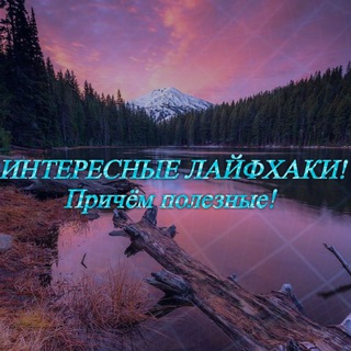 Логотип @lifehack905 - ЛАЙФХАКИ 📱🛠