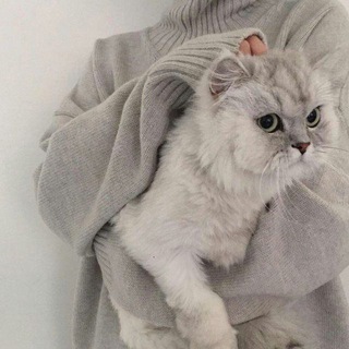 Логотип @lifehacksforgirls - Лайфхаки для девушек💕🐼