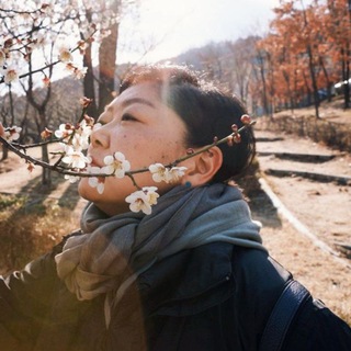 Логотип @lifeikigai - Моя жизнь - икигай