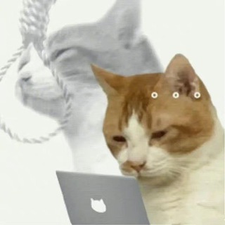 Логотип @lifeisshit_memes - мой поехавший вечер