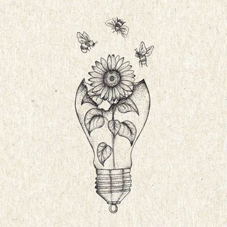 Логотип @lifelanguages - первым было слово