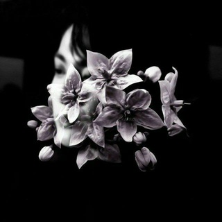 Логотип @lifeles1s - парфюмерия страсти.