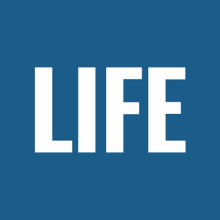 Логотип @lifesitetelegram - LifeSiteNews