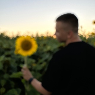 Логотип @lifetimeformee - голубятня