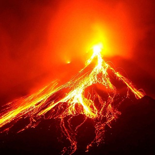 Логотип @lifopnews - ЛИФОП | Природа | Интересные факты