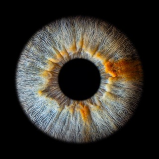 Логотип @lifreehand - lifreehand 💕