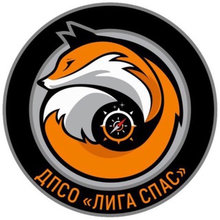 Логотип @ligaspas - ДПСО «Лига Спас»