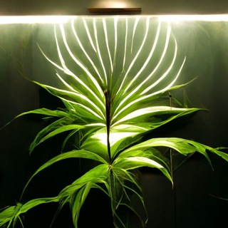 Логотип @lightblloom - Lightbloom