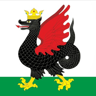 Логотип @lightkazan - Светлый Казань