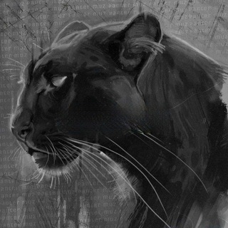 Логотип @lightnesss_of_being - Лёгкость бытия