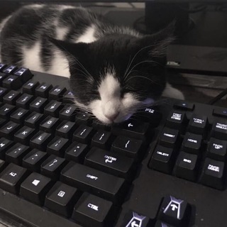 Логотип @lightnessvi - ✨lightness✨