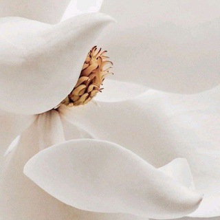 Логотип @lightstory - My Inspiration