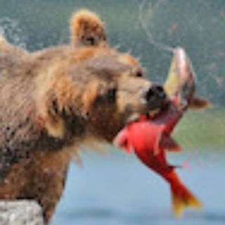 Логотип @lihaiblog - likho.ru