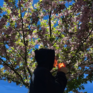 Логотип @liirixx - BLESSTII TYPE SH!T