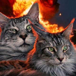 Логотип @likastress - МАТЬ КОТОВ