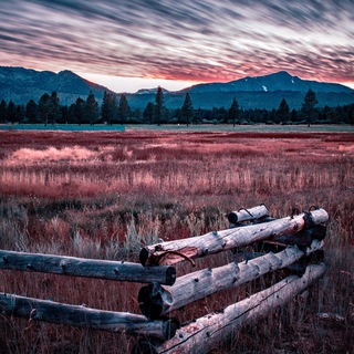 Логотип @likeforlike_10 - Like for Like ~ DX 1️⃣0️⃣