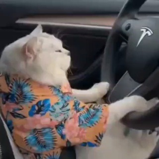 Логотип @likesautos - Все про автомобили 🚔😅
