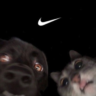 Логотип @likesmot - LikeШмот