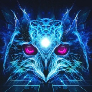 Логотип @likvidan - Ликвидация фирм