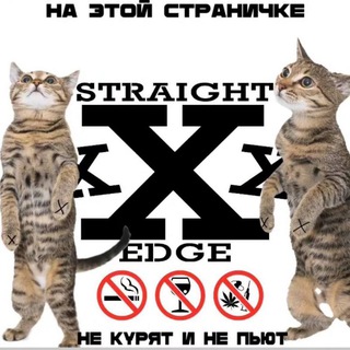 Логотип @lil_peepshawty - песни лил пипа | lil peep