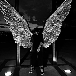 Логотип @lilaynere - RAVEN
