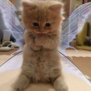 Логотип @lilfor - мёртвая мысль.