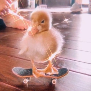 Логотип @lili341 - Фотки для девочек🌈🖤