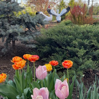 Логотип @liliyadembizkaya888 - Лілія Дембіцька💕ботал