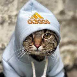 Логотип @lilkamem - Черепица