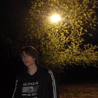 Логотип @lilysosad - лили со звездочкой*