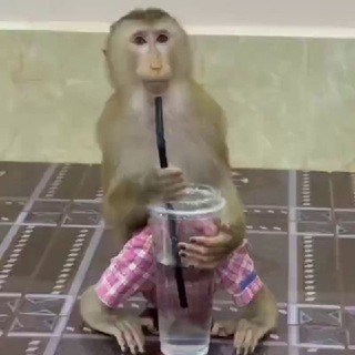 Логотип @limissxd - 👁️