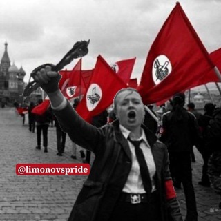 Логотип @limonovspride - Национал-большевистские Бригады