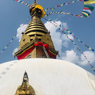 Логотип @lina_angel - Li Na Review Products DE