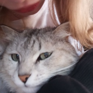 Логотип @lina_open - linaopen.