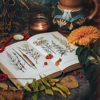 Логотип @linatravnitsa - Academika magic||🍃||🧙