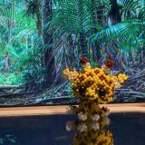 Логотип @linbiser - h