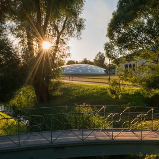 Логотип @lindennews - Липовые новости Михайловки