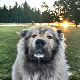 Логотип @lineincadr - жизнь за кадром💓