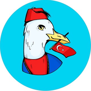 Логотип @linguaturca - Linguaturca — Школа Турецкого Языка