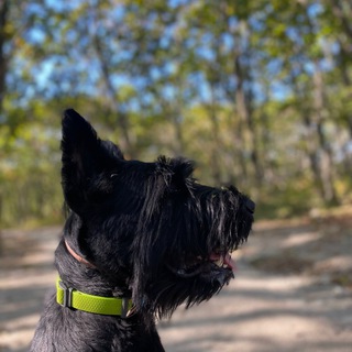 Логотип @linirav - 𝐋𝐈𝐍𝐈𝐑𝐀𝐕