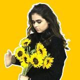 Логотип @linochkapishet - #линапишет