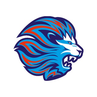 Логотип @lionschm - ЛЬВЫ ЦХМ🏒