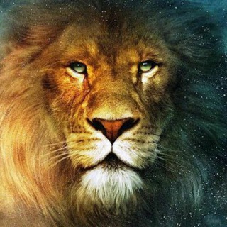 Логотип @lionwakeup_channal - Дэвид Айк_канал