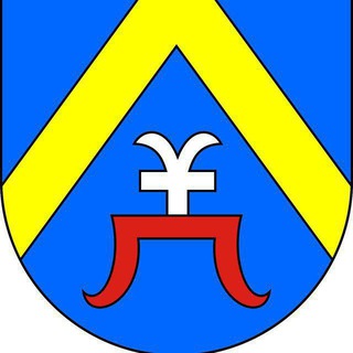 Логотип @lioznoregion - Лиозно. Официально.