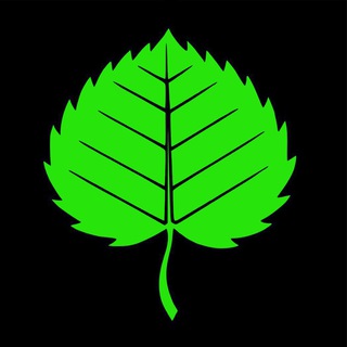 Логотип @lipetsc - Липецк