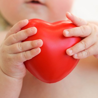 Логотип @lipids - Жирные истории | Холестерин