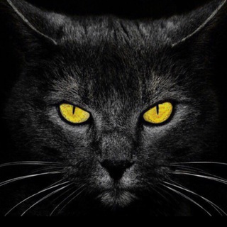 Логотип @lipposv - Недобрый психолог