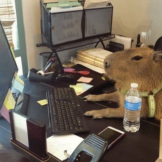 Логотип @liquidation_signal - Ликвидация